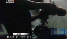 屠宰最新爆料视频播放,屠宰场内幕视频曝光，震撼揭示行业黑幕